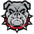 BULLDOG Digital
